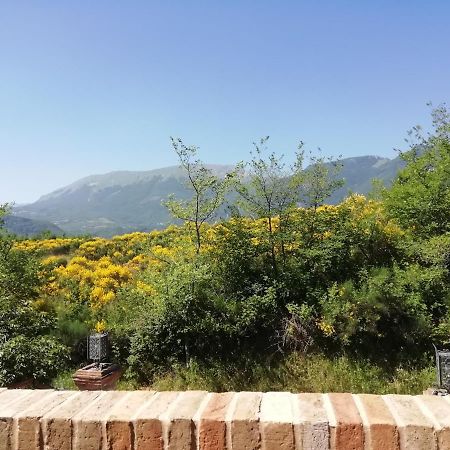 Luci sui Monti Bed & Breakfast Sarnano Exterior foto